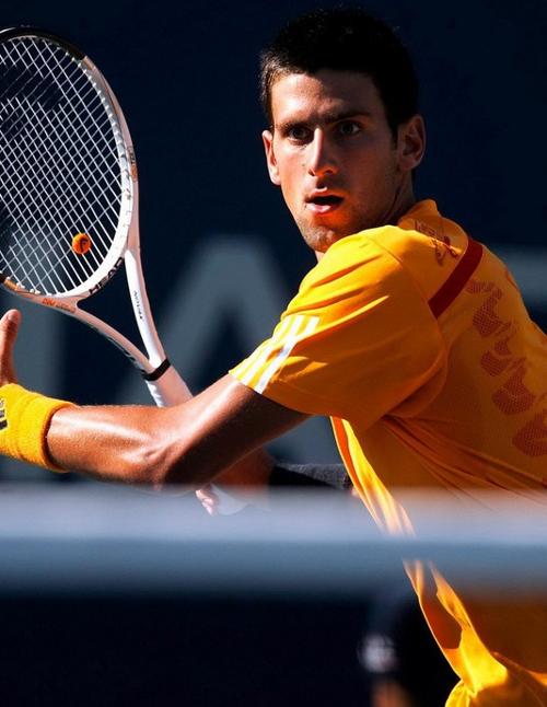 种变化中寻 种变化中寻